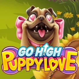 Official Slots logo: Go High Puppy Love by RubyPlay at Stake Casino