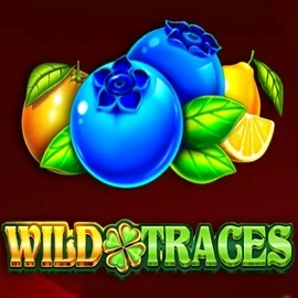 Wild Traces – slot by Amusnet Interactive, featured at casinoostake.eu