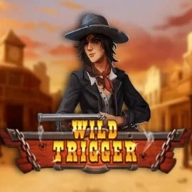 Play the Wild Trigger slot by Play'n GO on Stake Casino